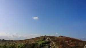 Scene op afstand.webp